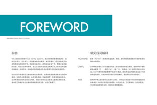 品牌VI設(shè)計與軟件開發(fā) 自由自在品牌管理的雙翼